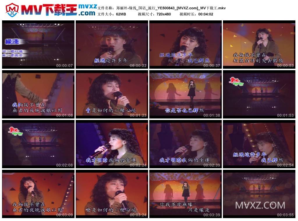 郑丽丝-缘浅_国语_流行_YE500843